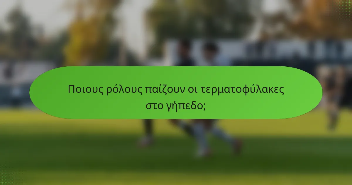 Ποιους ρόλους παίζουν οι τερματοφύλακες στο γήπεδο;